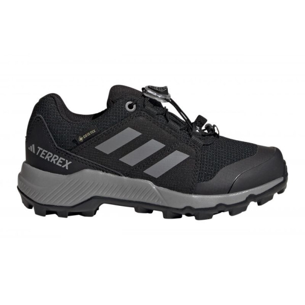 Boty adidas Terrex GTX K Jr IF7519 36 2/3