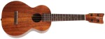 Kamaka HF-2 FIVE.O Concert Ukulele