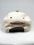 Mitchell & Ness Pánská Kšiltovka New Jersey Devils Horizon Pro Snapback Vntg