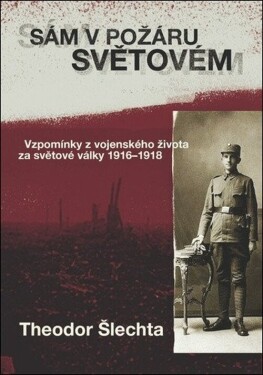 Sám požáru světovém