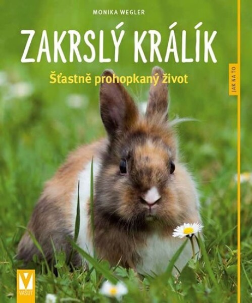 Zakrslý králík: