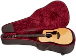 Taylor 210ce Plus