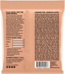 Ernie Ball 2243 Turbo Slinky RPS Nickel Wound