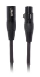 Warm Audio Prem-XLR-25