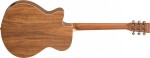 Tanglewood TRU4CE AK