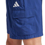 Šortky adidas Essentials Small Logo Cargo Chelsea M JF3532 XL