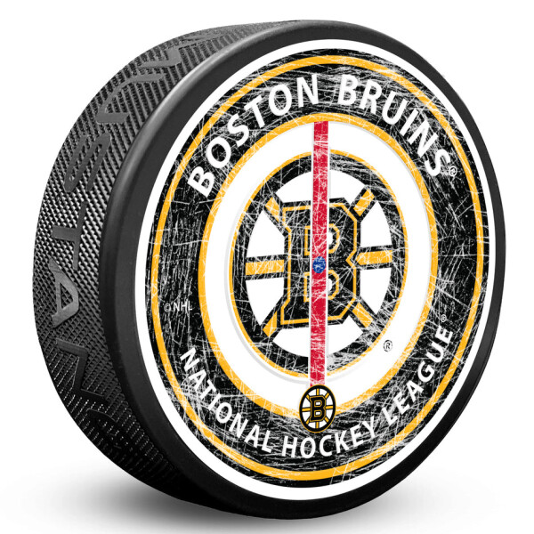Mustang Puk Boston Bruins NHL Center Ice