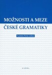 Možnosti meze české gramatiky