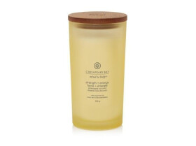 Vonná svíčka CHESAPEAKE BAY CANDLE Strength Energy 355g