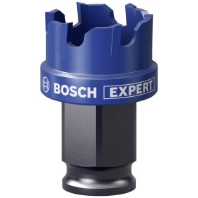 Bosch Accessories EXPERT Sheet Metal 2608900494 vrtací korunka 1 ks 25 mm 1 ks