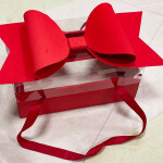 Elegantní univerzální box červený