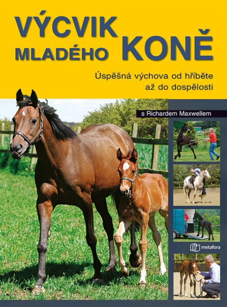Mladého koně Richard Maxwell