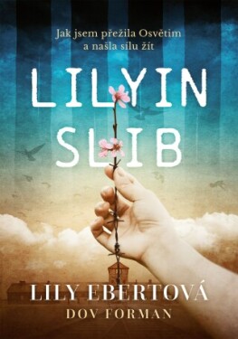 Lilyin slib - Ebert Lily - e-kniha