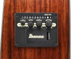 Ibanez AW391RCE Black Top