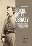 Sokol mezi obrazy - Teorie umění, estetika a umělecká kritika Miroslava Tyrše - Karel Stibral