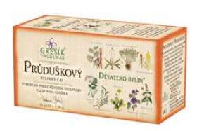 Grešík Devatero bylin Čaj Průduškový 20x1,3g