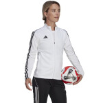 Dámská tréninková obuv Tiro 23 League Training HS3513 Adidas