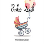 Prckův deník - Prvních 1000 dní mého života - Michal Široký