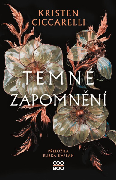 Temné zapomnění - Kristen Ciccarelli