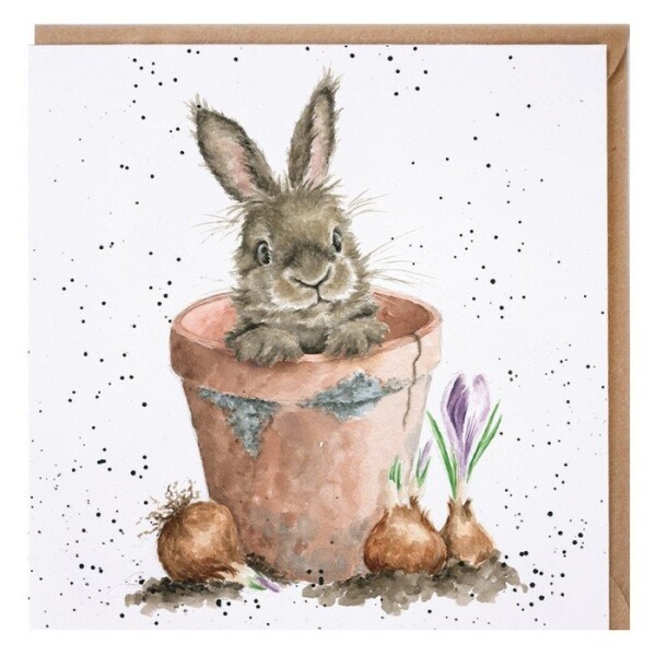 Přání Wrendale Designs The Flower Pot, 15x15 cm - Králík v květináči