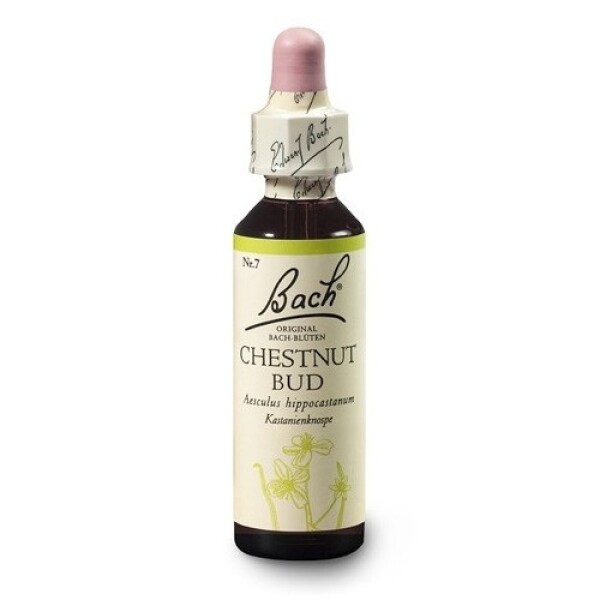 Kaštan koňský, poupě (Chestnut Bud) 20 ml - Bachovy esence Dr.Bach