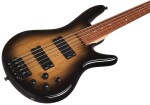 Ibanez GSR205SM Natural Gray Burst