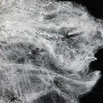 Rappa Pavučina + 4 pavoučků