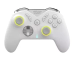 Dragonshock Controller Nebula Pro bílá / Gamepad / Nintendo Switch / USB-C (DSCPNSW-WH)
