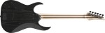 Ibanez RGR5111RB WK