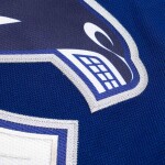 Outerstuff Dětský dres Vancouver Canucks NHL Quinn Hughes #43 Premier Modrá (YOUTH)