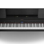 Roland HP704-CH