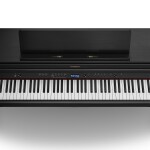 Roland HP704-CH