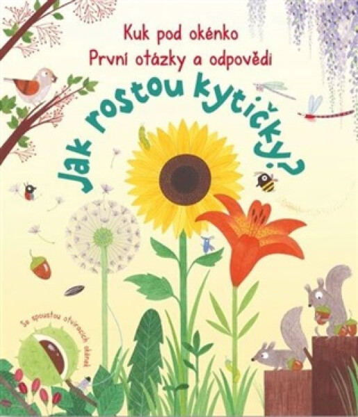 Kuk pod okénko, Jak rostou kytičky? První otázky a odpovědi - Katie Daynes