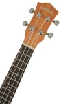 Cascha HH 2035E Concert Mahogany Ukulele Set EQ