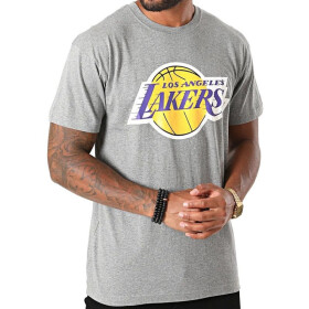 Mitchell Ness NBA Los Angeles Lakers Týmové tričko logem BMTRINTL1268-LALGYML tričko