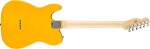 Fender Standard Telecaster MN BSB