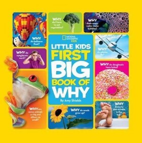 Little Kids First Big Book of Why - Amy Shields