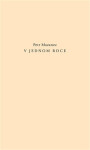 V jednom roce - Petr Mazanec