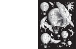 Dimensions: A 3D Colouring Book, antistresové omalovánky, Francois Gautier