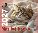 Kalendář 2027 Mazlivé kočky, malý stolní, týdenní, 13 x 15 cm