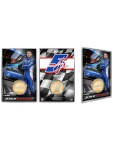 Mince Kyle Larson Hendrick Motorsports Acrylic Bronze NASCAR Coin Card