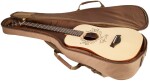 Taylor TS-BT