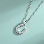 Stříbrný náhrdelník PODKOVA pro štěstí - stříbro 925/1000, Stříbrná 40 cm + 5 cm (prodloužení)