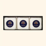 The English Soap Company Dárková sada mýdel Frosted Fir and Holly – 3 x 100 g, zelená barva, papír