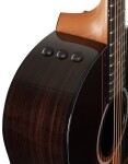 Taylor 217e-SB Plus 50th Anniversary