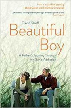 Beautiful Boy : A Father´s Journey Through His Son's Addiction - David Sheff