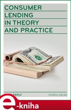 Consumer Lending in Theory and Practice - Petr Teplý e-kniha