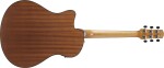 Ibanez AAM54CE Natural (rozbalené)