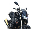 Kawasaki 1000 2007-2009 Plexi standard