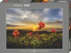 HEYE Puzzle Ostružiny moruška